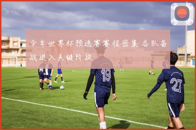 今年世界杯预选赛赛程密集 各队备战进入关键阶段