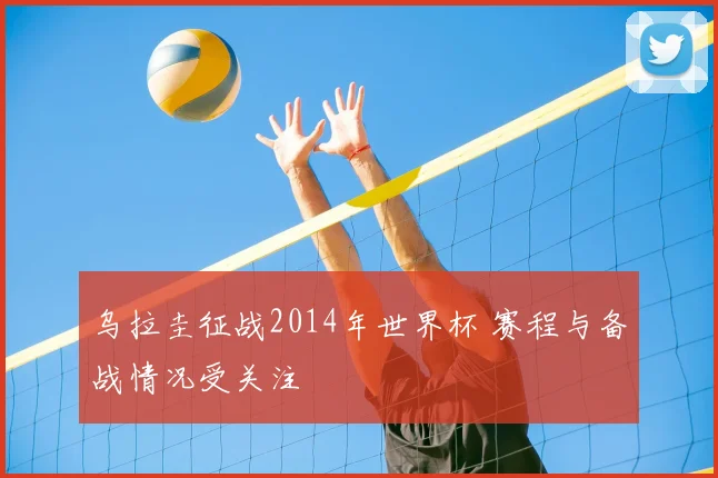 乌拉圭征战2014年世界杯 赛程与备战情况受关注