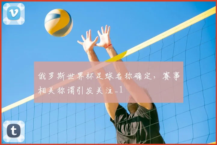 俄罗斯世界杯足球名称确定,赛事相关称谓引发关注_1