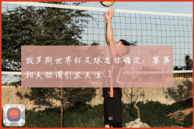 俄罗斯世界杯足球名称确定,赛事相关称谓引发关注_1