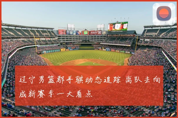 辽宁男篮鄢手骐动态追踪 离队去向成新赛季一大看点