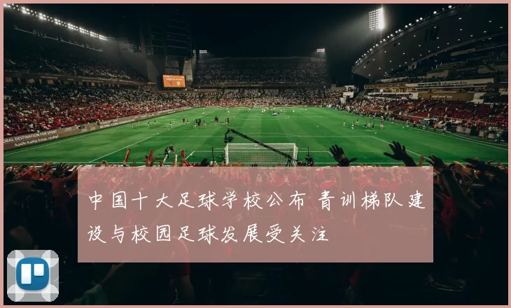 中国十大足球学校公布 青训梯队建设与校园足球发展受关注