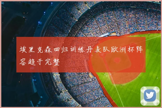 埃里克森回归训练丹麦队欧洲杯阵容趋于完整