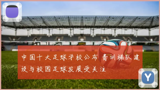 中国十大足球学校公布 青训梯队建设与校园足球发展受关注