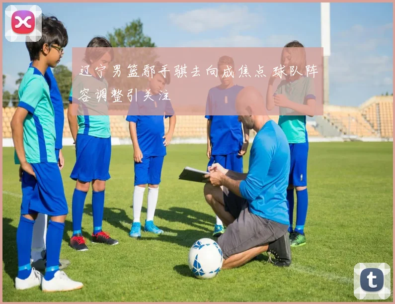 辽宁男篮鄢手骐去向成焦点 球队阵容调整引关注