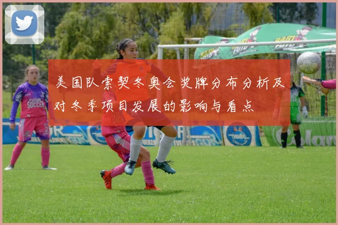 美国队索契冬奥会奖牌分布分析及对冬季项目发展的影响与看点